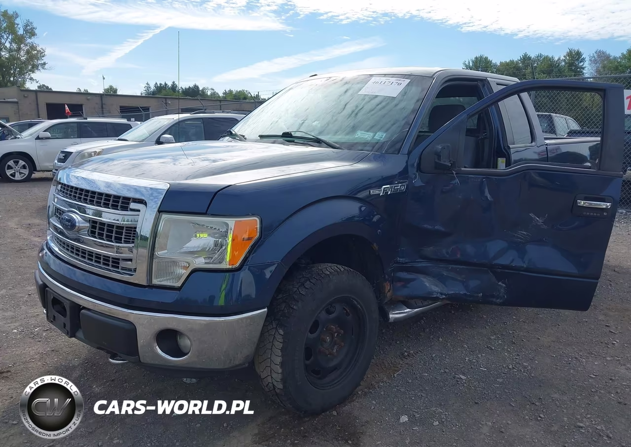2013 Ford F-150 Xlt VIN:1FTFX1EF2DFA03199 - 2