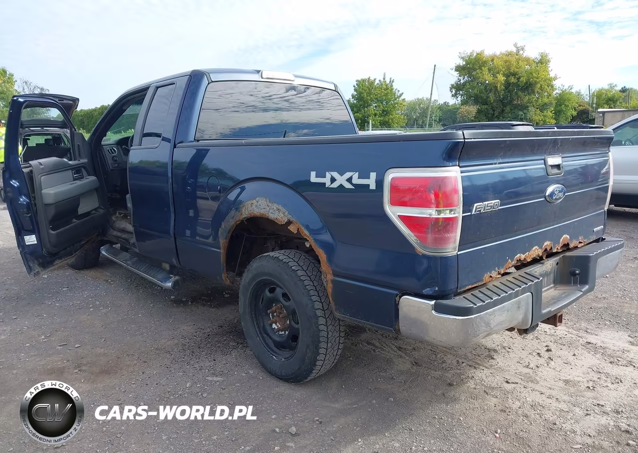 2013 Ford F-150 Xlt VIN:1FTFX1EF2DFA03199 - 3