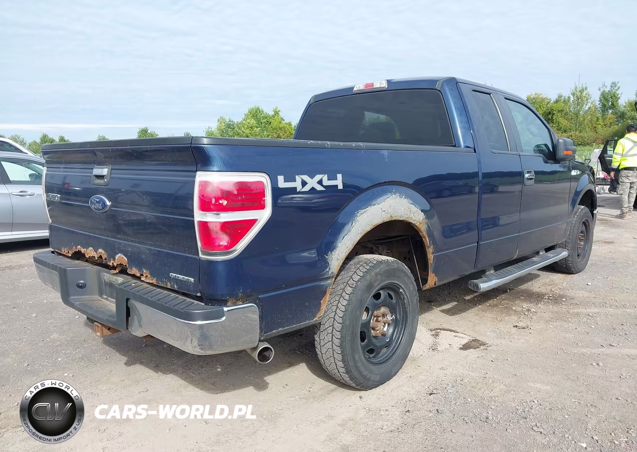 2013 Ford F-150 Xlt VIN:1FTFX1EF2DFA03199 - 4