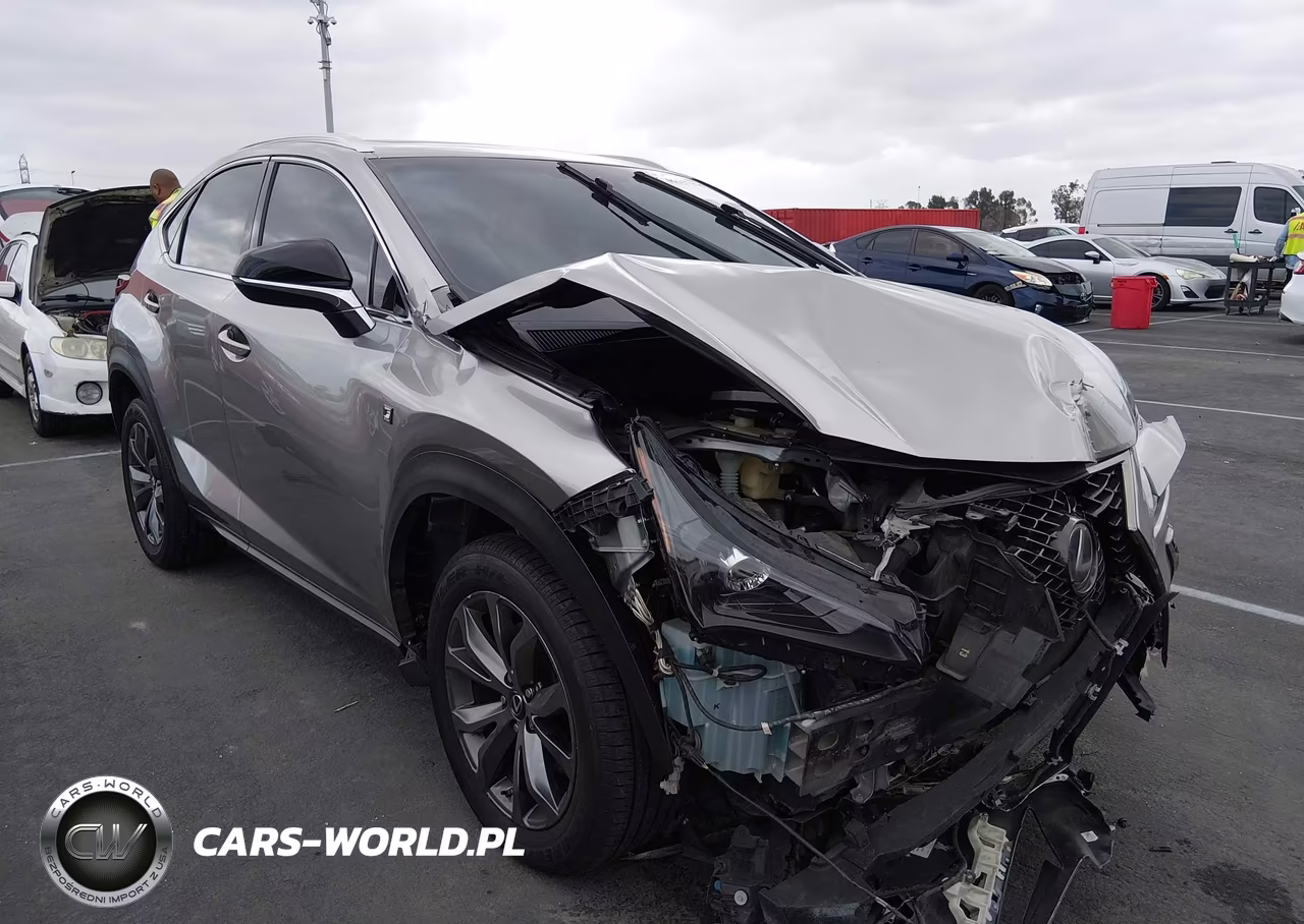 2019 Lexus Nx 300 F Sport