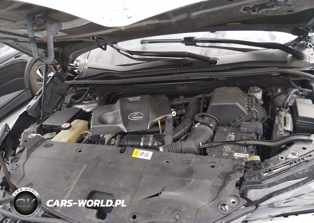 2019 Lexus Nx 300 F Sport VIN:JTJYARBZ4K2127404 - 10