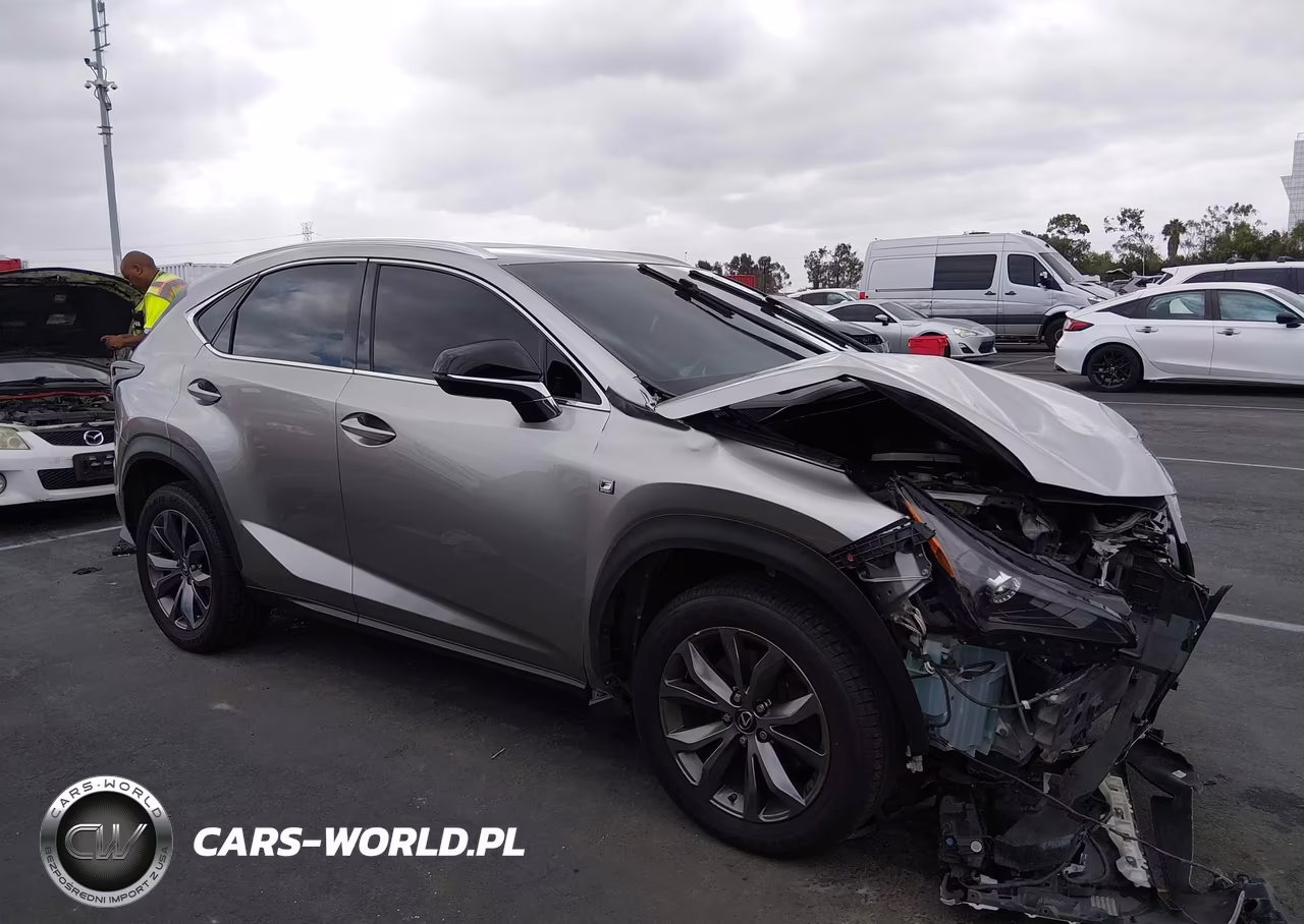 2019 Lexus Nx 300 F Sport VIN:JTJYARBZ4K2127404 - 13