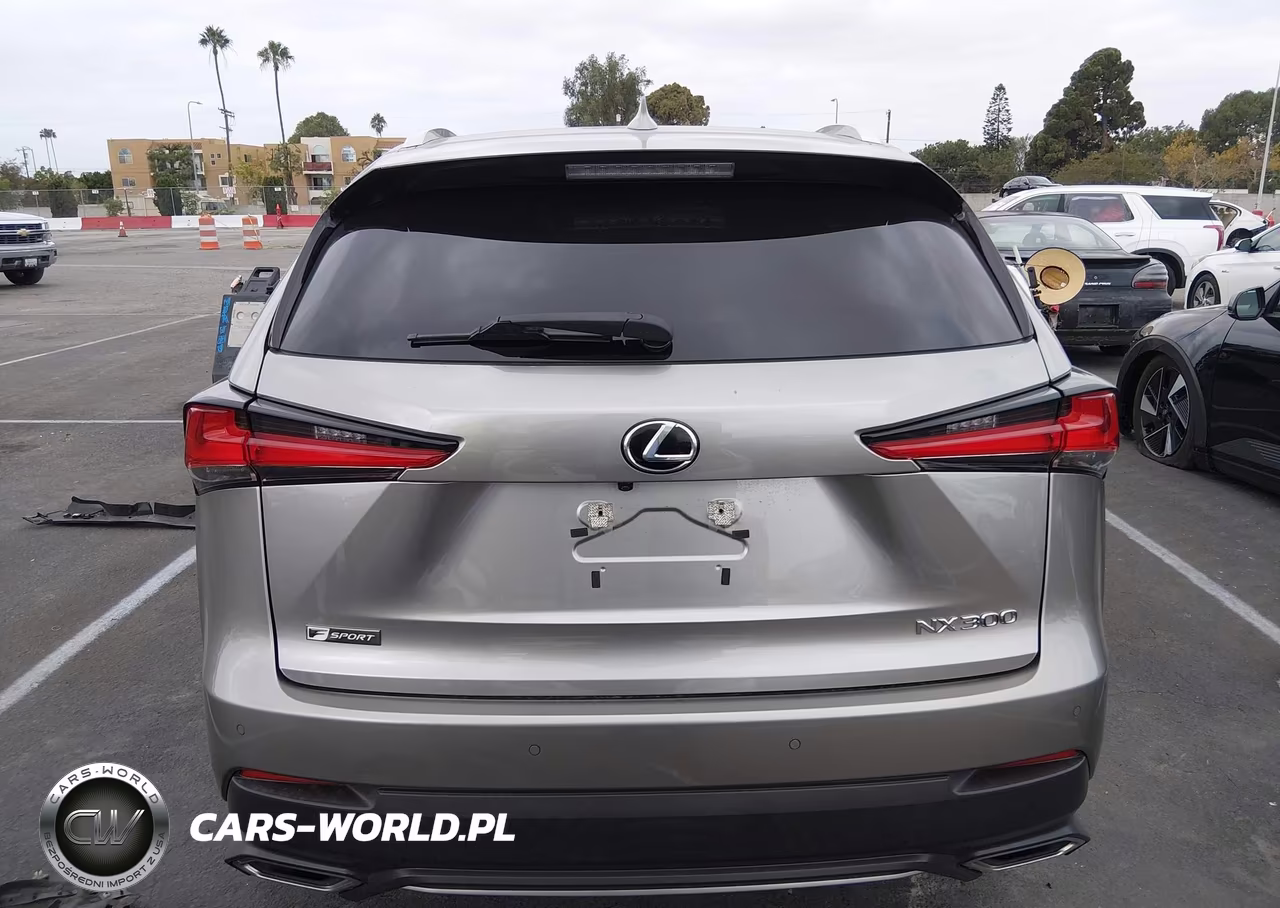 2019 Lexus Nx 300 F Sport VIN:JTJYARBZ4K2127404 - 16
