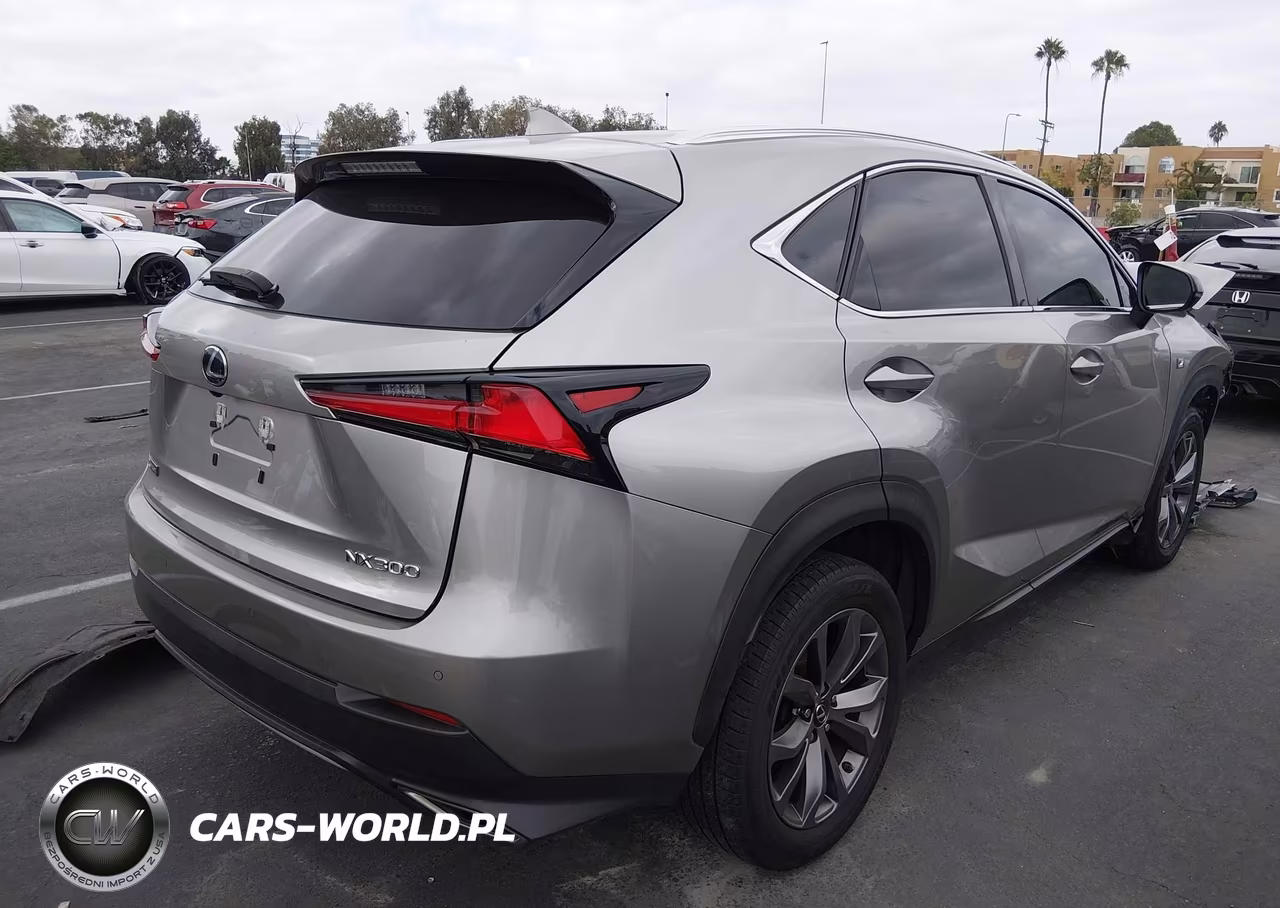 2019 Lexus Nx 300 F Sport VIN:JTJYARBZ4K2127404 - 4