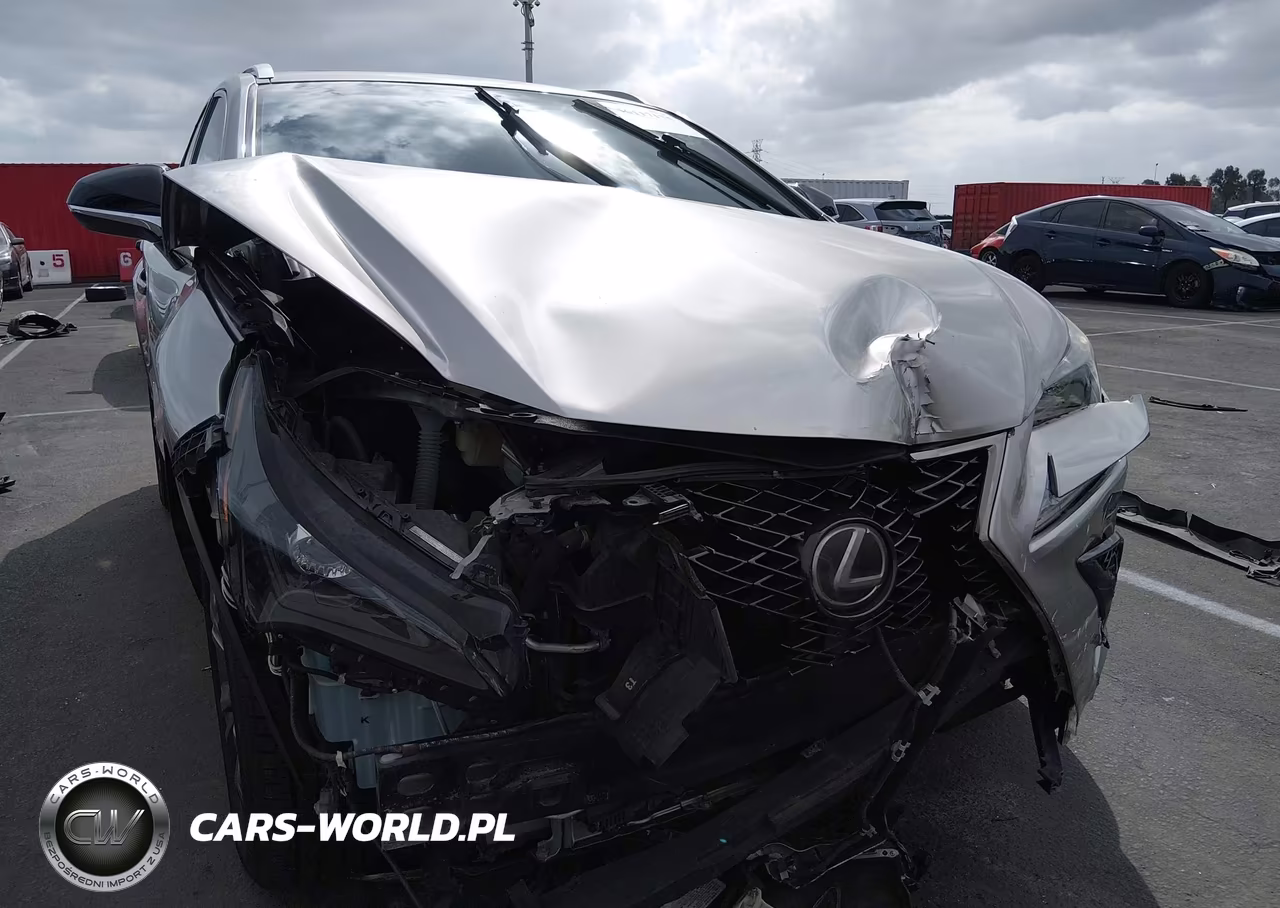 2019 Lexus Nx 300 F Sport VIN:JTJYARBZ4K2127404 - 6