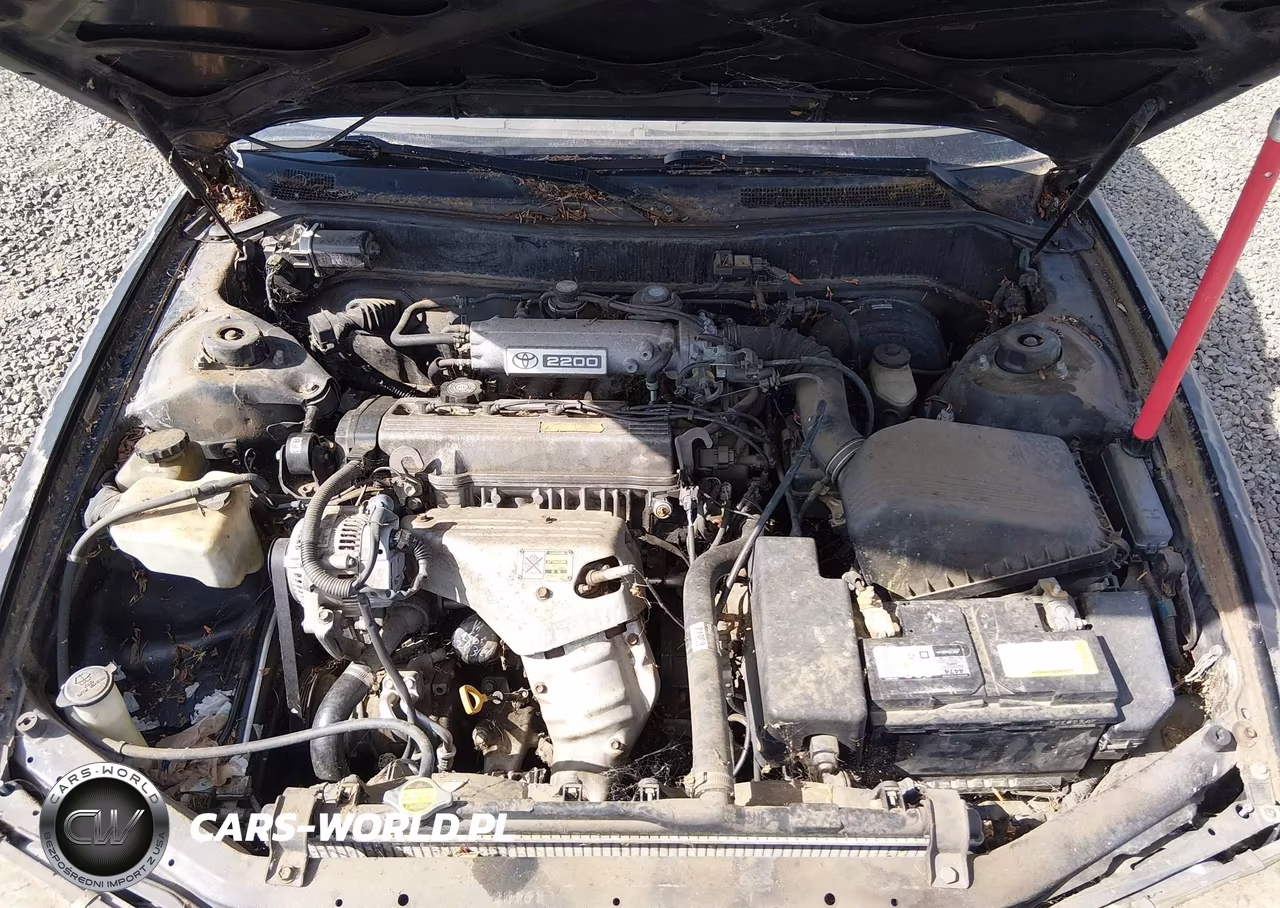 1994 Toyota Camry Le VIN:4T1SK12E1RU386950 - 10