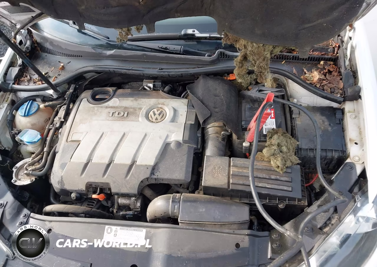 2011 Volkswagen Jetta Sportwagen 2.0L Tdi VIN:3VWPL7AJ8BM684881 - 10
