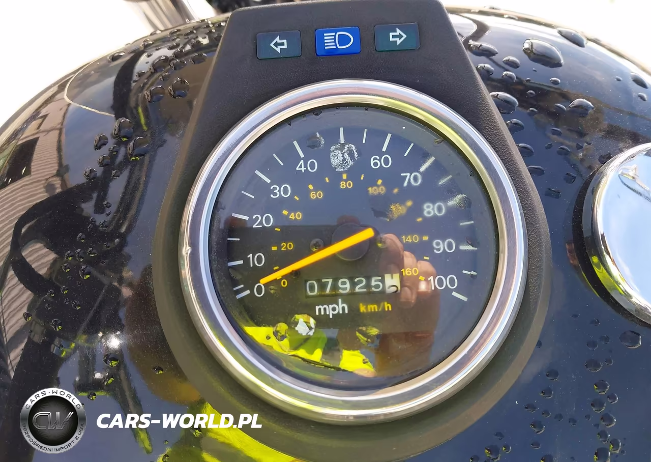 1999 Suzuki Ls650 P VIN:JS1NP41A0X2101113 - 7