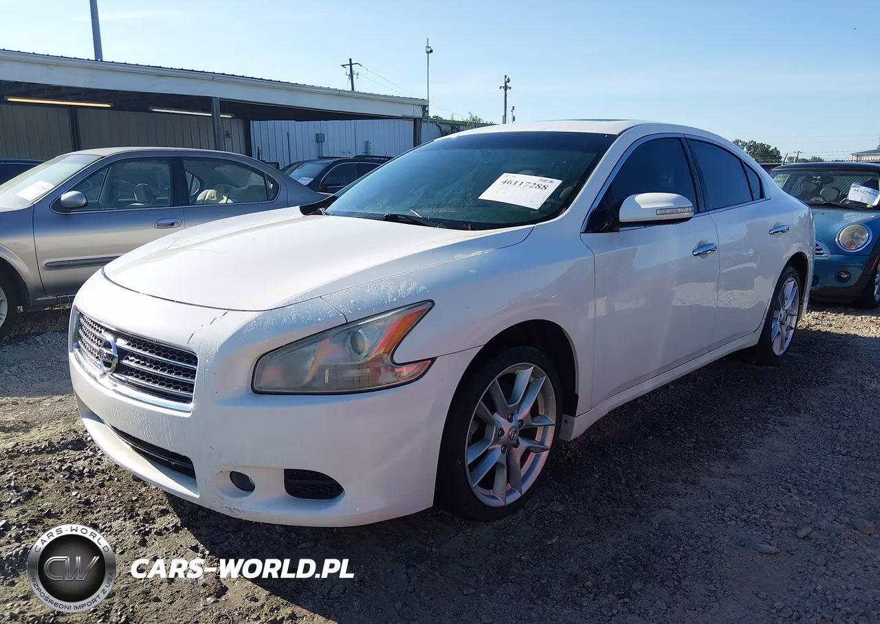 2009 Nissan Maxima 3.5 Sv VIN:1N4AA51E69C807844 - 2