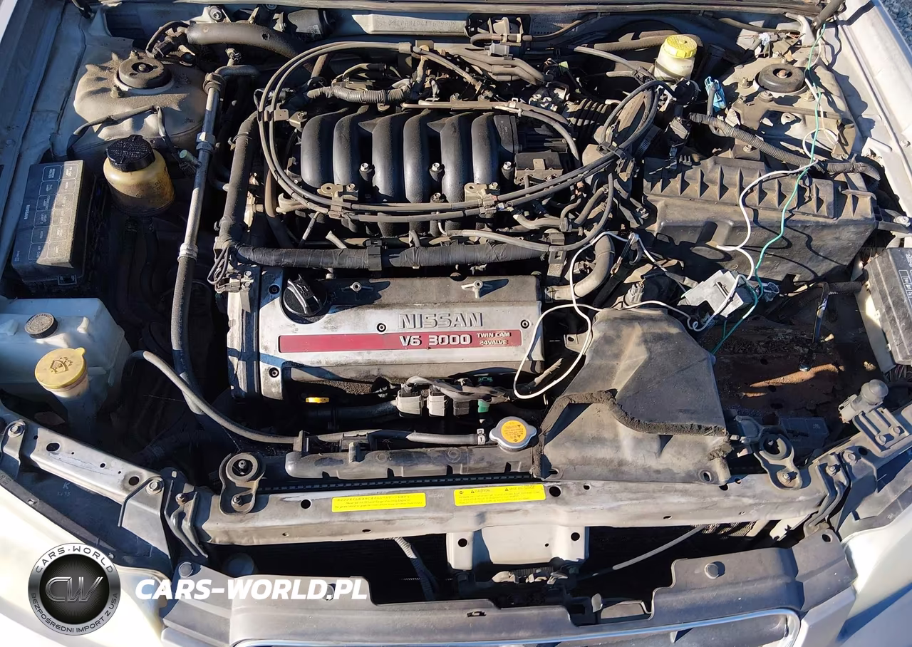 2001 Nissan Maxima Gxe VIN:JN1CA31D41T629809 - 10