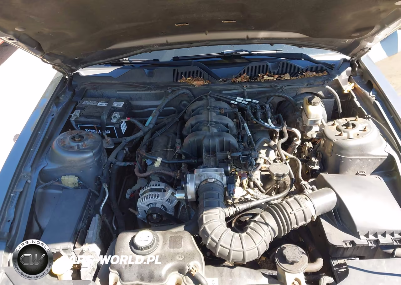 2010 Ford Mustang V6-V6 Premium VIN:1ZVBP8AN1A5134689 - 10