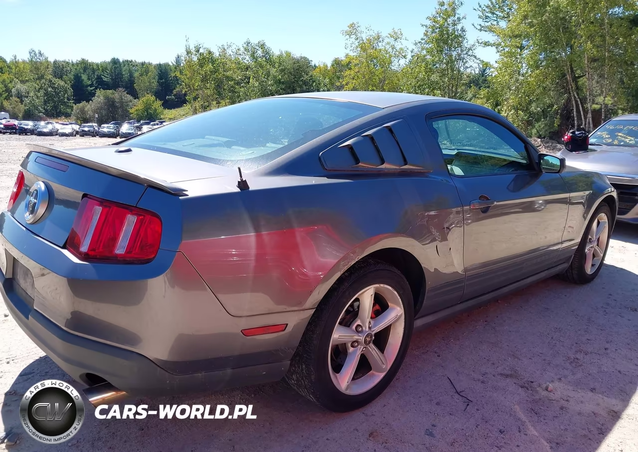 2010 Ford Mustang V6-V6 Premium VIN:1ZVBP8AN1A5134689 - 12