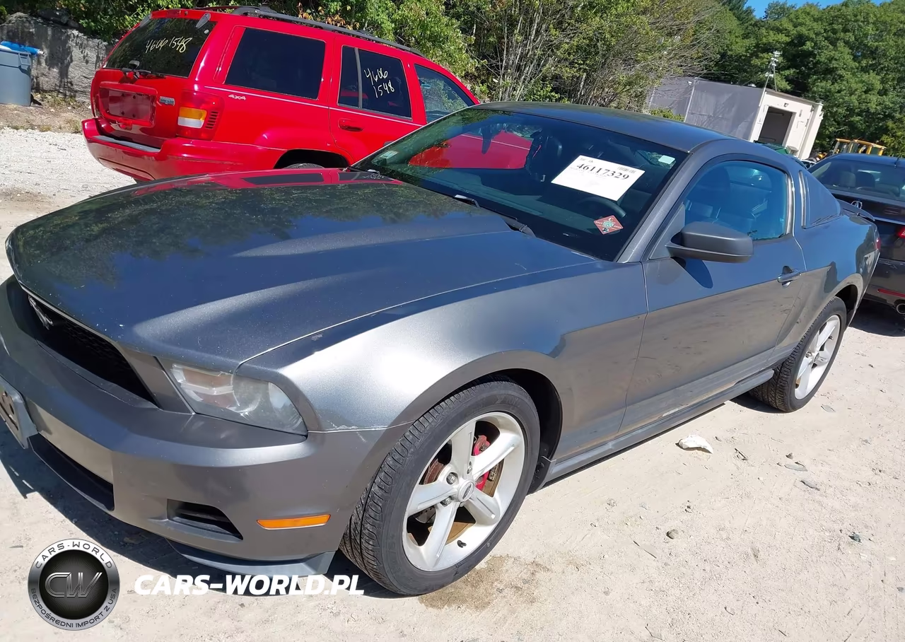 2010 Ford Mustang V6-V6 Premium VIN:1ZVBP8AN1A5134689 - 2