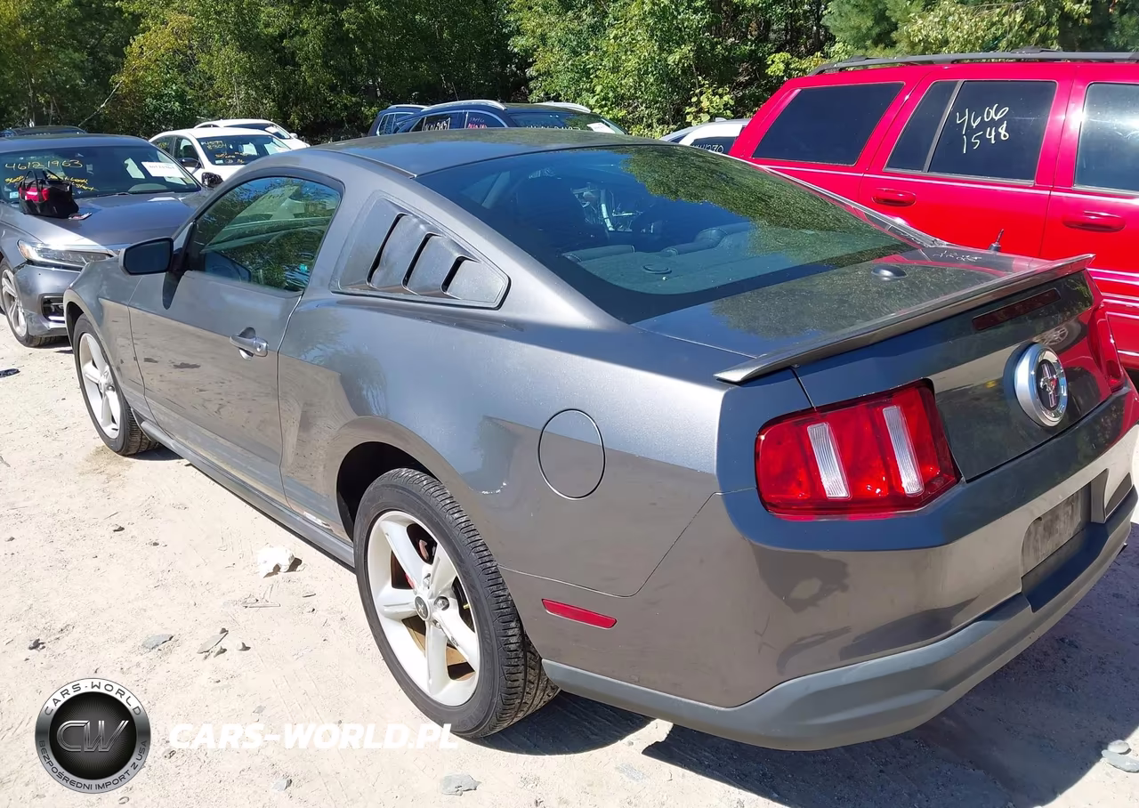 2010 Ford Mustang V6-V6 Premium VIN:1ZVBP8AN1A5134689 - 3