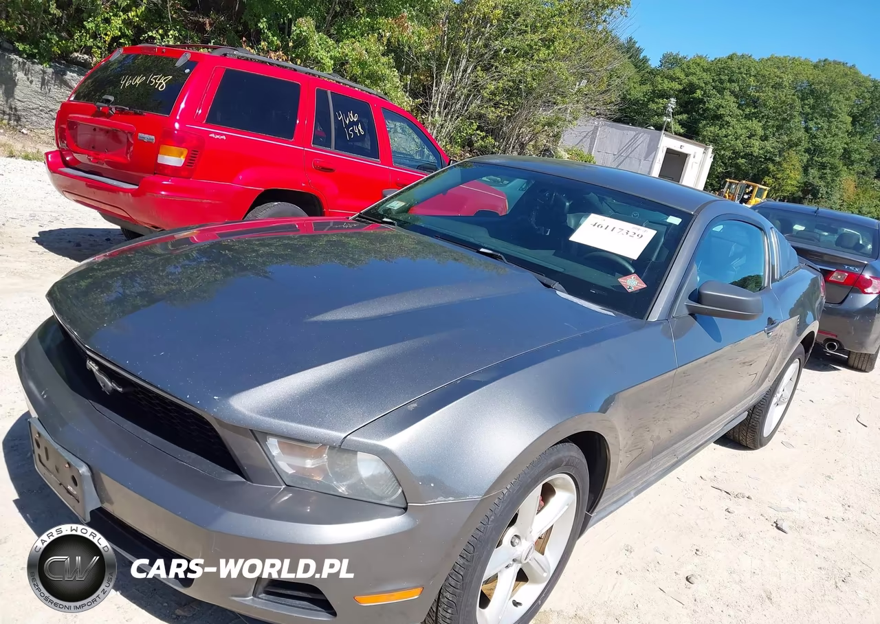 2010 Ford Mustang V6-V6 Premium VIN:1ZVBP8AN1A5134689 - 6