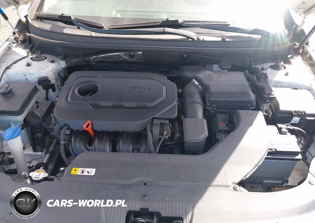 2016 Hyundai Sonata Se VIN:5NPE24AF2GH326776 - 10