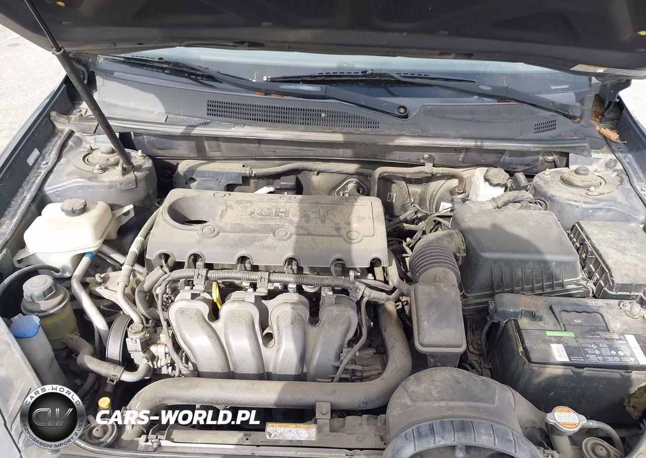 2010 Kia Optima Lx VIN:KNAGG4A80A5449816 - 10