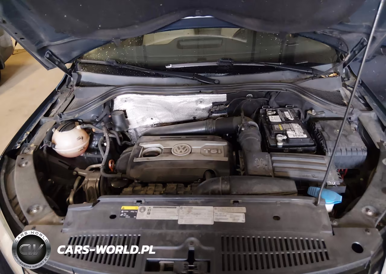 2013 Volkswagen Tiguan Se VIN:WVGBV3AX8DW055088 - 10