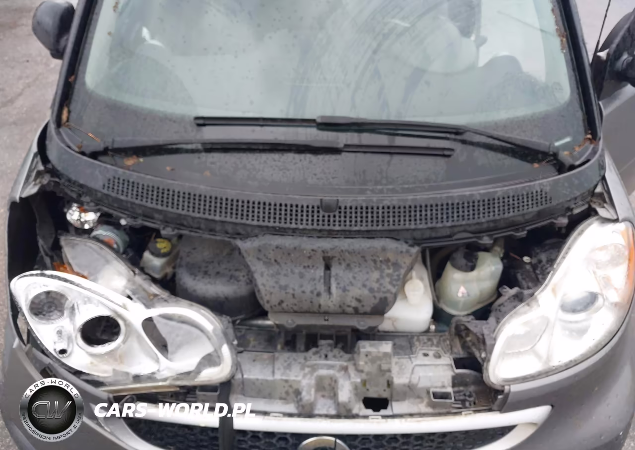 2013 Smart Fortwo Passion VIN:WMEEJ3BA5DK685263 - 10