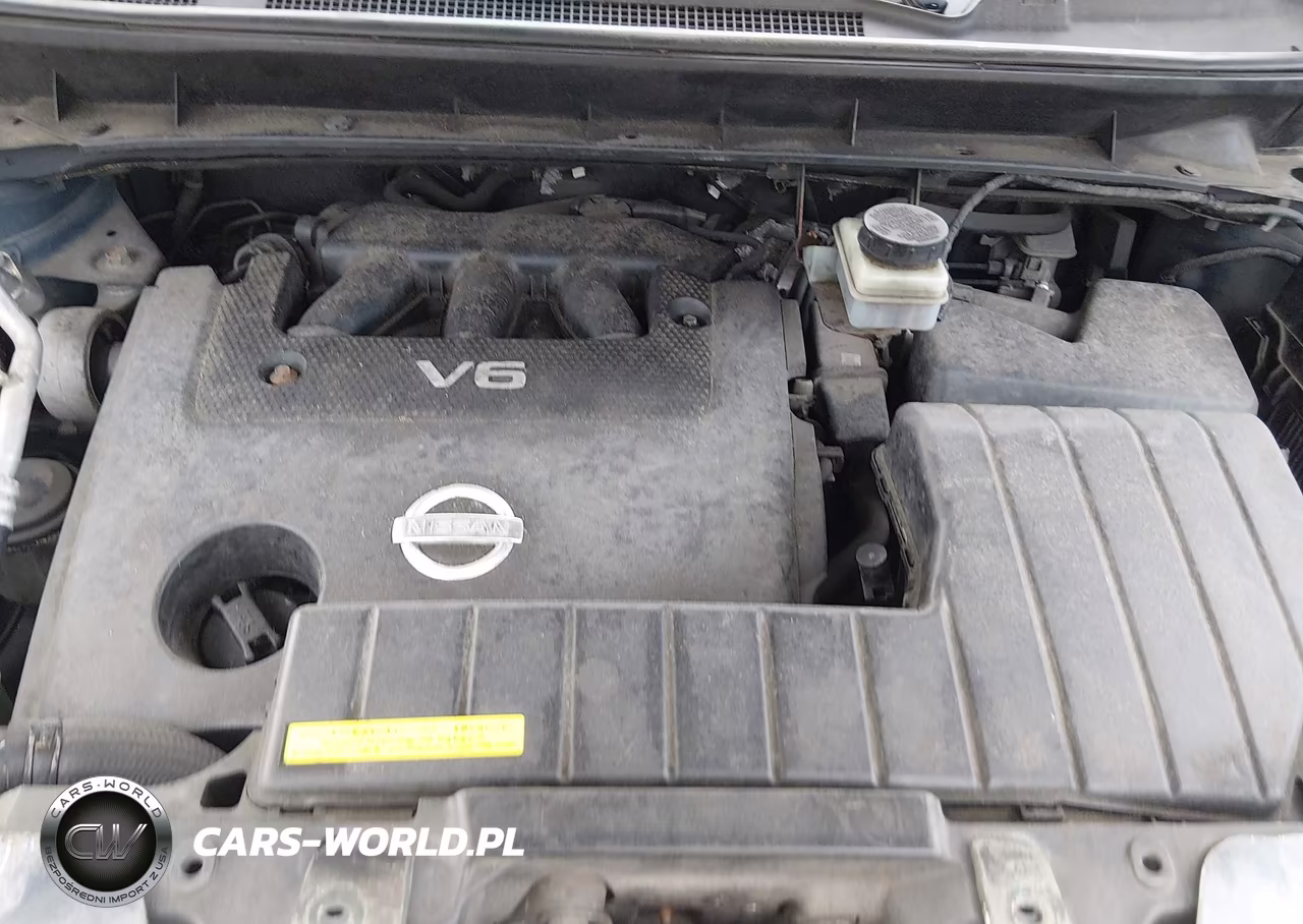 2009 Nissan Murano S VIN:JN8AZ18U89W030093 - 10