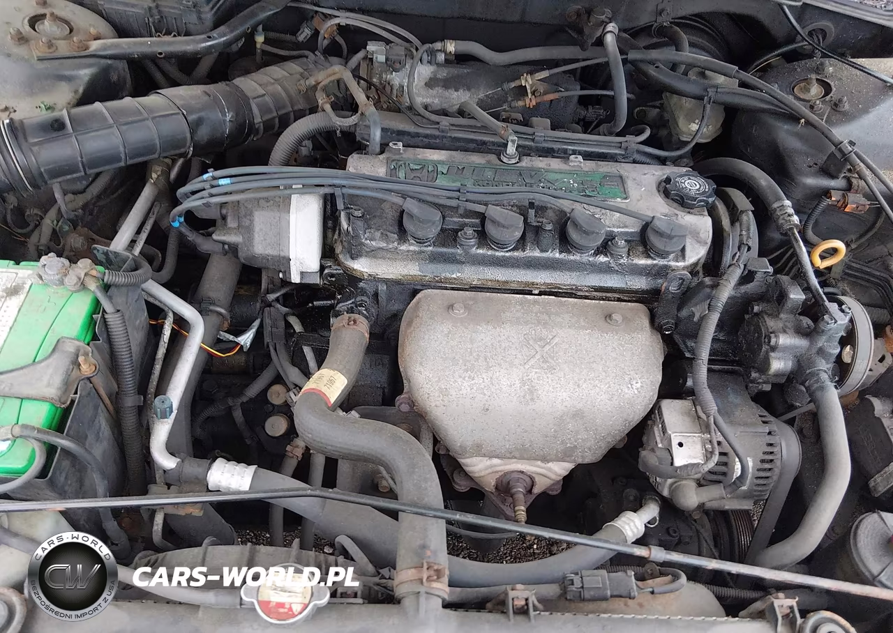1998 Honda Accord Ex VIN:1HGCG6679WA056992 - 10