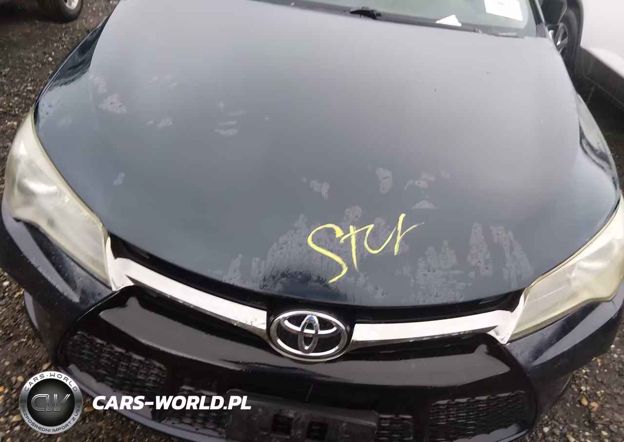 2017 Toyota Camry Se VIN:4T1BF1FK1HU323088 - 10