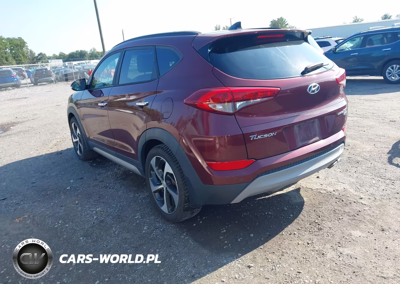 2017 Hyundai Tucson Limited VIN:KM8J3CA22HU321437 - 3