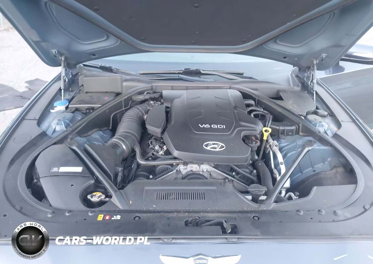 2015 Hyundai Genesis 3.8 VIN:KMHGN4JE1FU026024 - 10