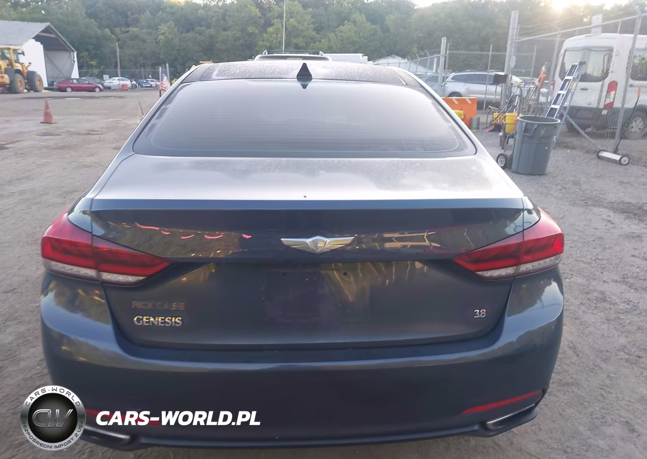 2015 Hyundai Genesis 3.8 VIN:KMHGN4JE1FU026024 - 16