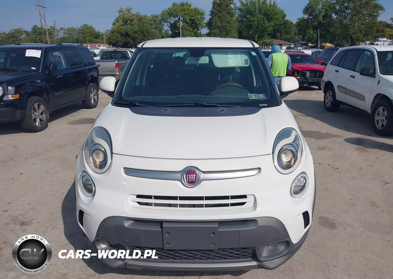 2014 Fiat 500L Trekking VIN:ZFBCFADH1EZ021026 - 6