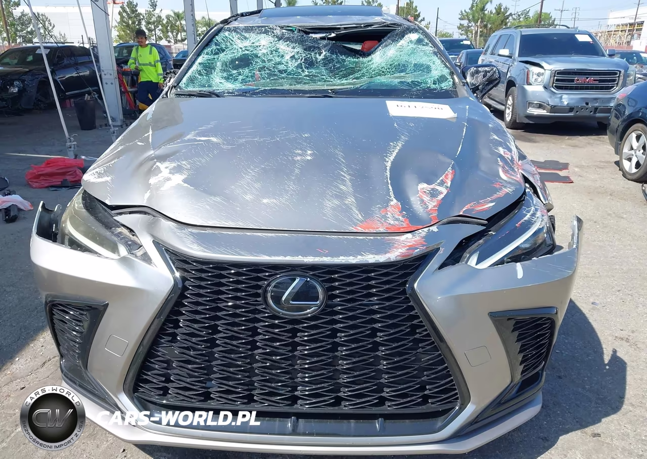 2022 Lexus Nx 350 F Sport Handling VIN:2T2KGCEZ1NC013636 - 13