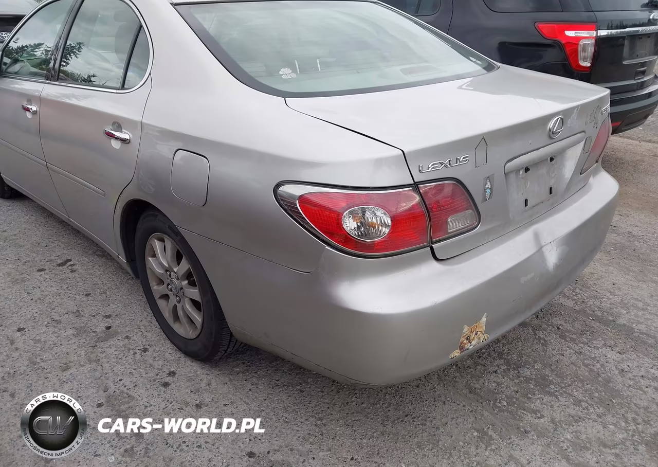 2004 Lexus Es 330 VIN:JTHBA30G745013937 - 12