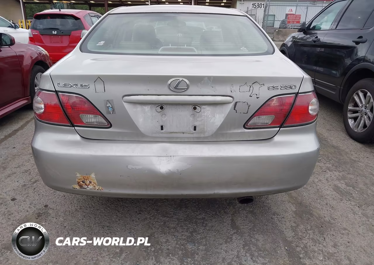 2004 Lexus Es 330 VIN:JTHBA30G745013937 - 6