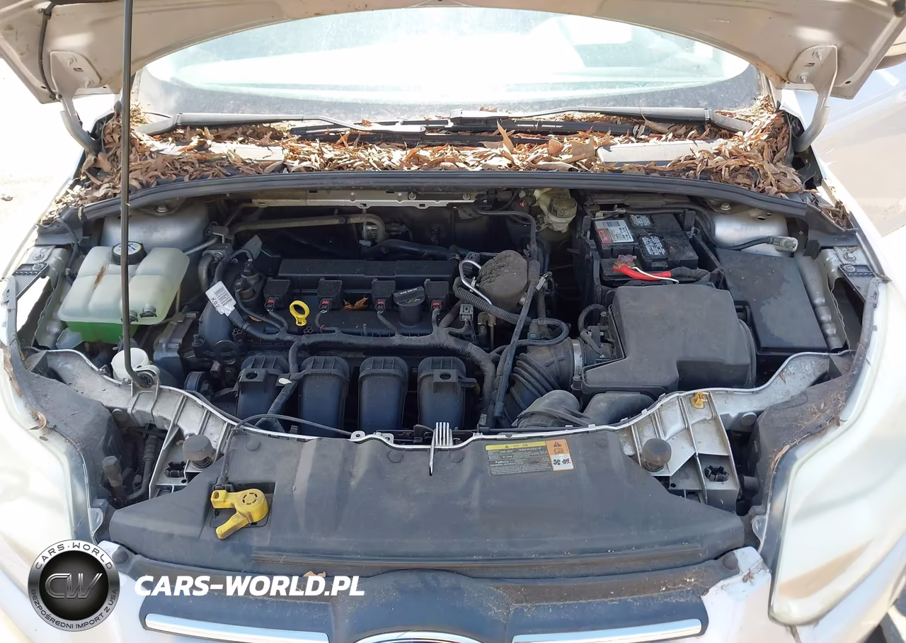 2013 Ford Focus Se VIN:1FADP3F29DL233490 - 10