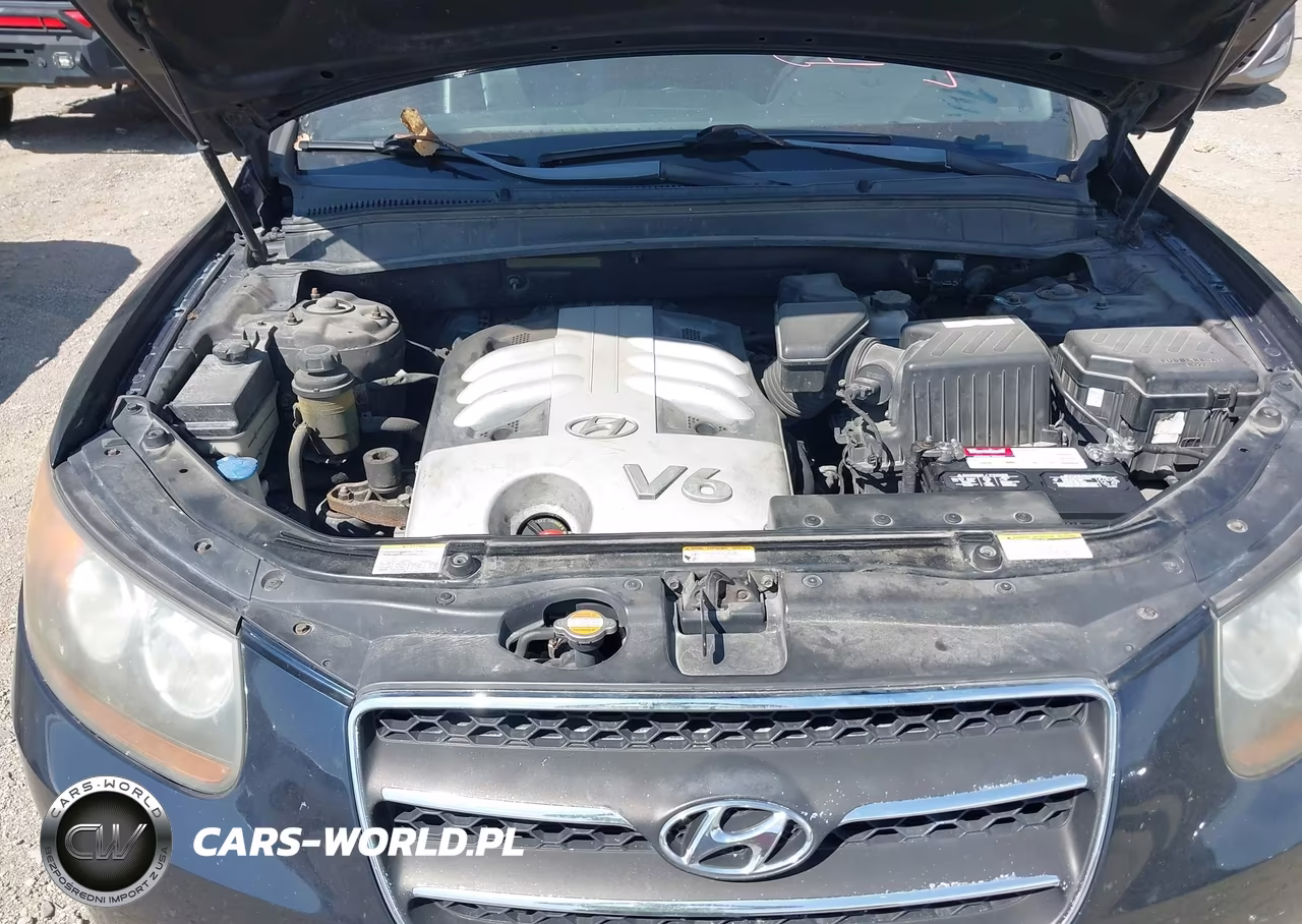 2007 Hyundai Santa Fe Limited-Se VIN:5NMSH13E47H095672 - 10