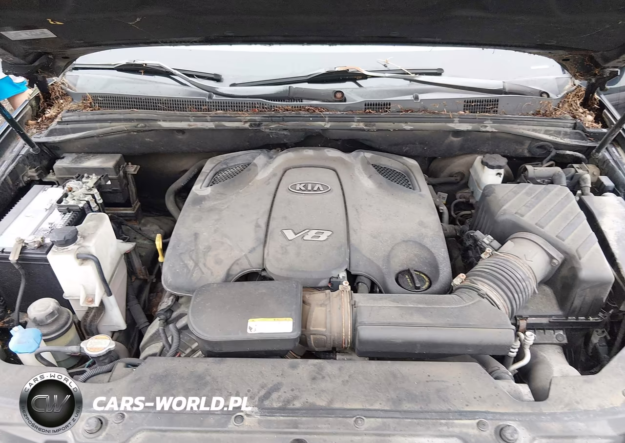2009 Kia Borrego Ltd VIN:KNDJH742095033355 - 10