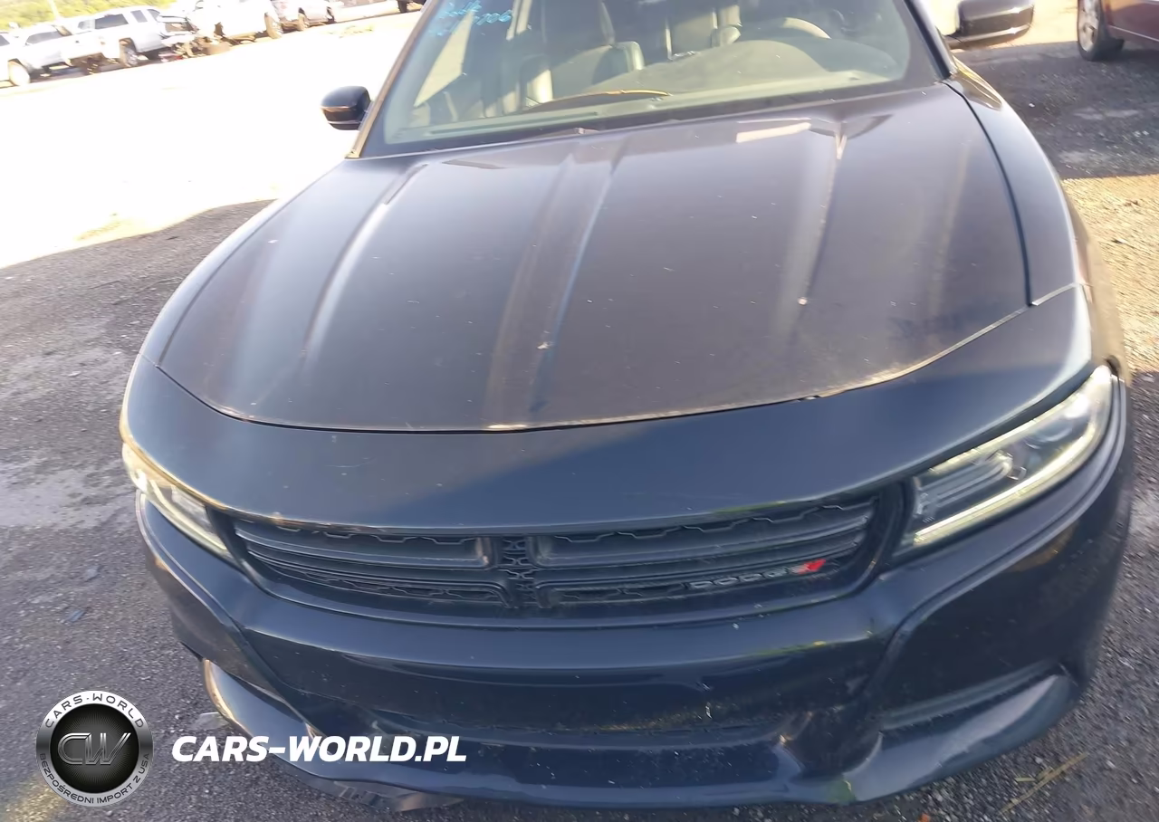 2016 Dodge Charger R-T VIN:2C3CDXCT2GH228379 - 12