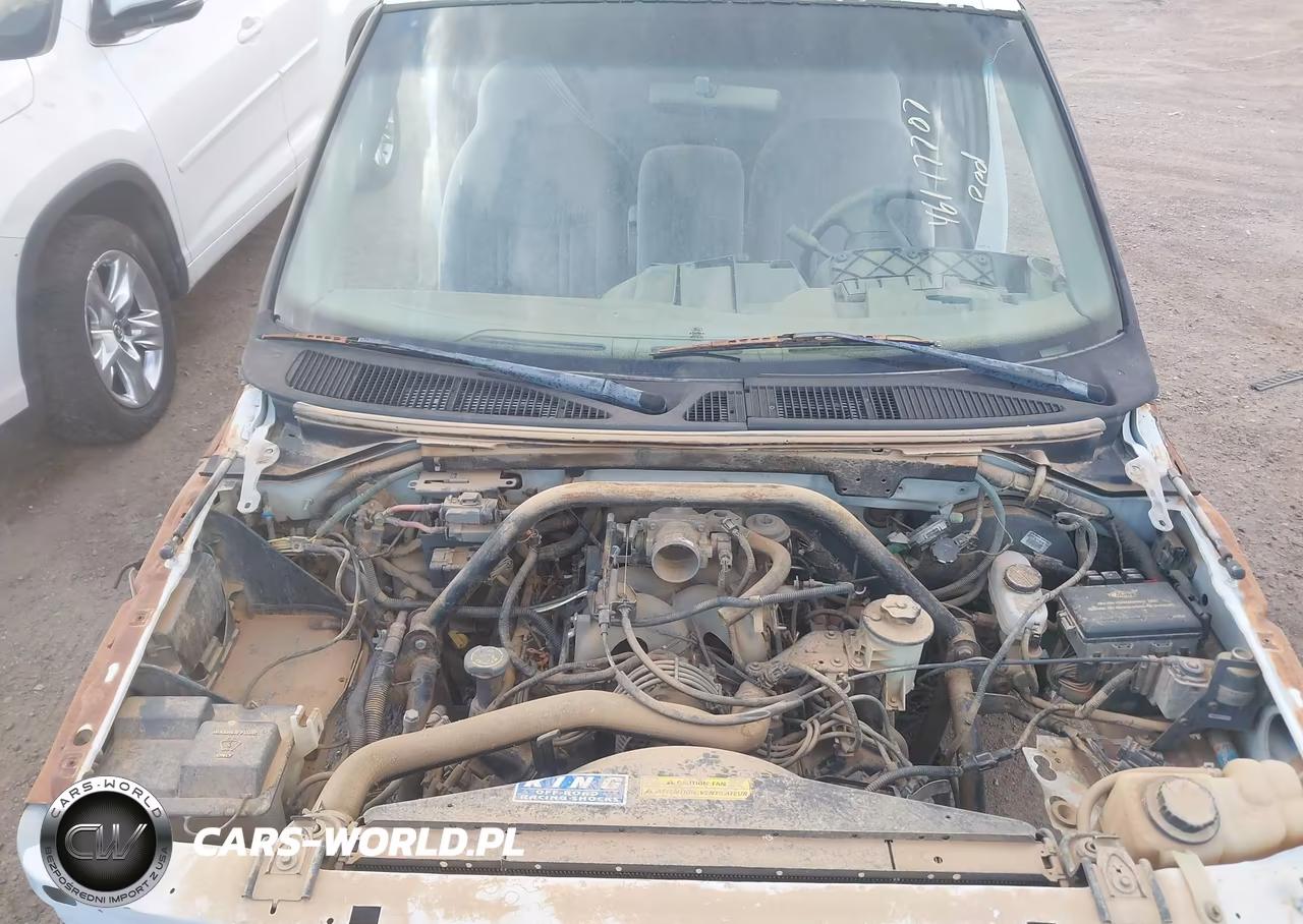 1998 Ford F-150 Lariat-Standard-Xl-Xlt VIN:1FTDX1768WNA12129 - 10