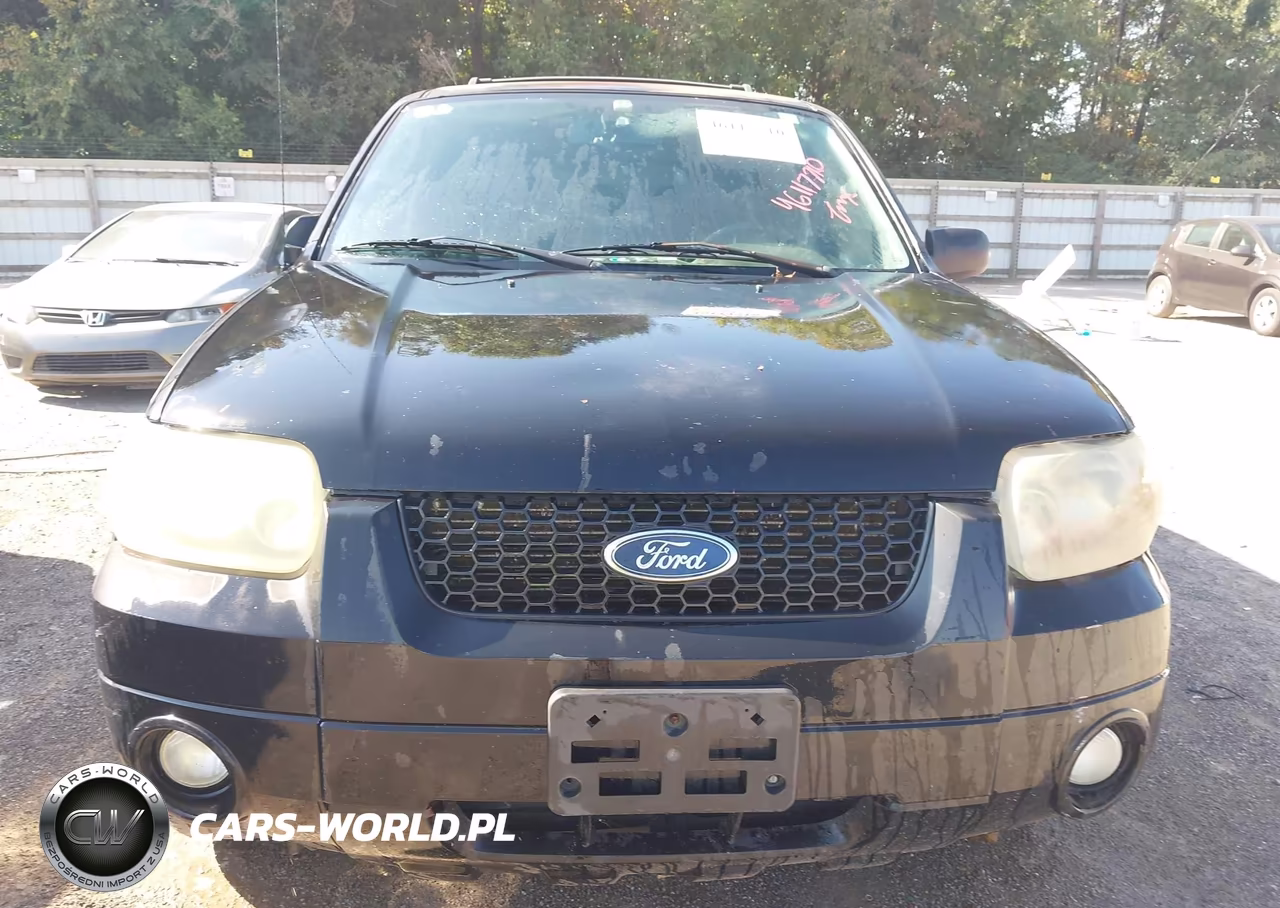 2007 Ford Escape Limited VIN:1FMCU941X7KA59379 - 6