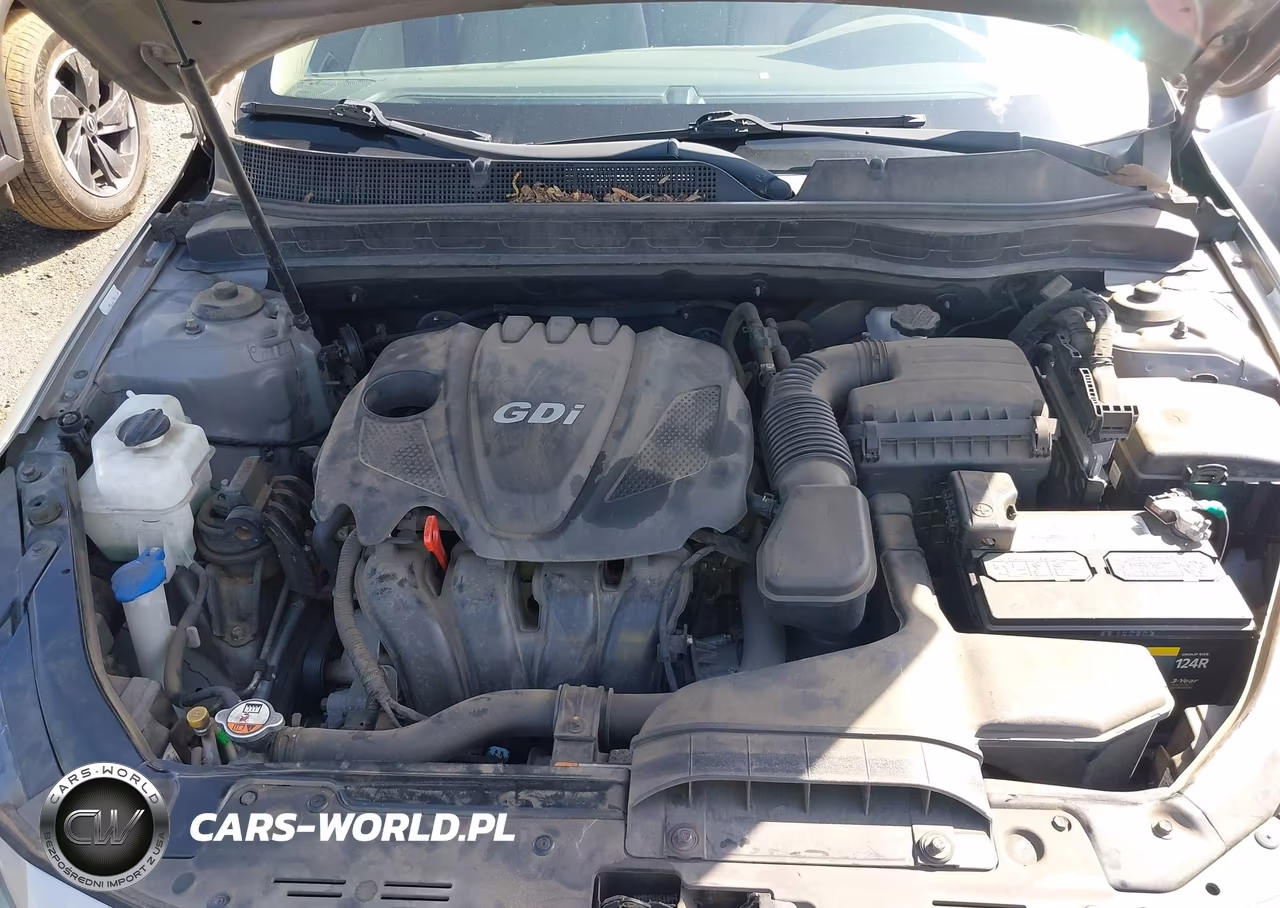 2014 Kia Optima Lx VIN:5XXGM4A74EG285474 - 10