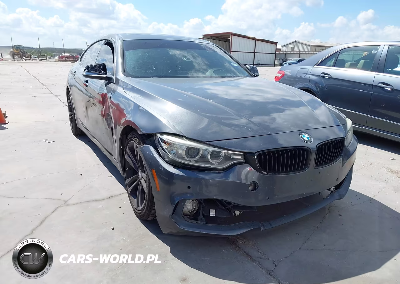 2016 BMW 428I Gran Coupe xDrive VIN:WBA4C9C59GG138302 - 1