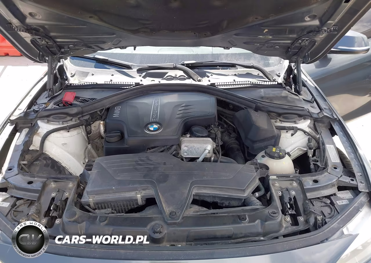 2016 BMW 428I Gran Coupe xDrive VIN:WBA4C9C59GG138302 - 10