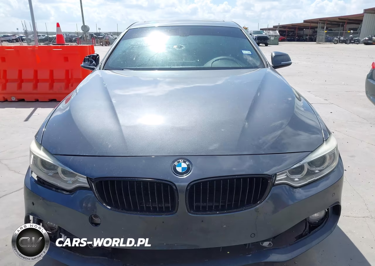 2016 BMW 428I Gran Coupe xDrive VIN:WBA4C9C59GG138302 - 12