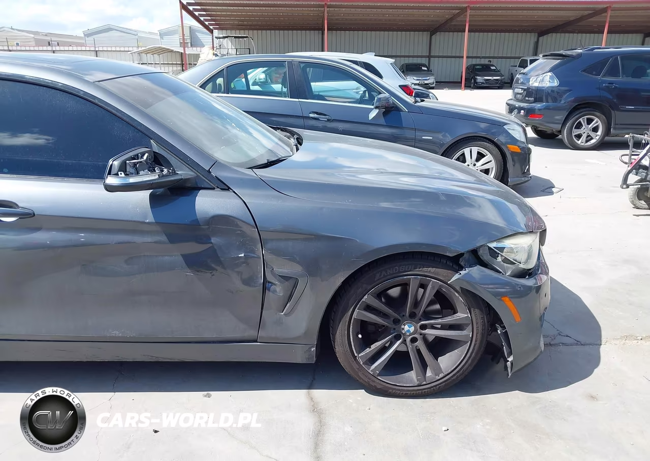 2016 BMW 428I Gran Coupe xDrive VIN:WBA4C9C59GG138302 - 17