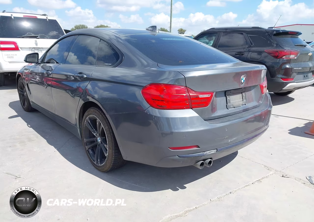2016 BMW 428I Gran Coupe xDrive VIN:WBA4C9C59GG138302 - 3