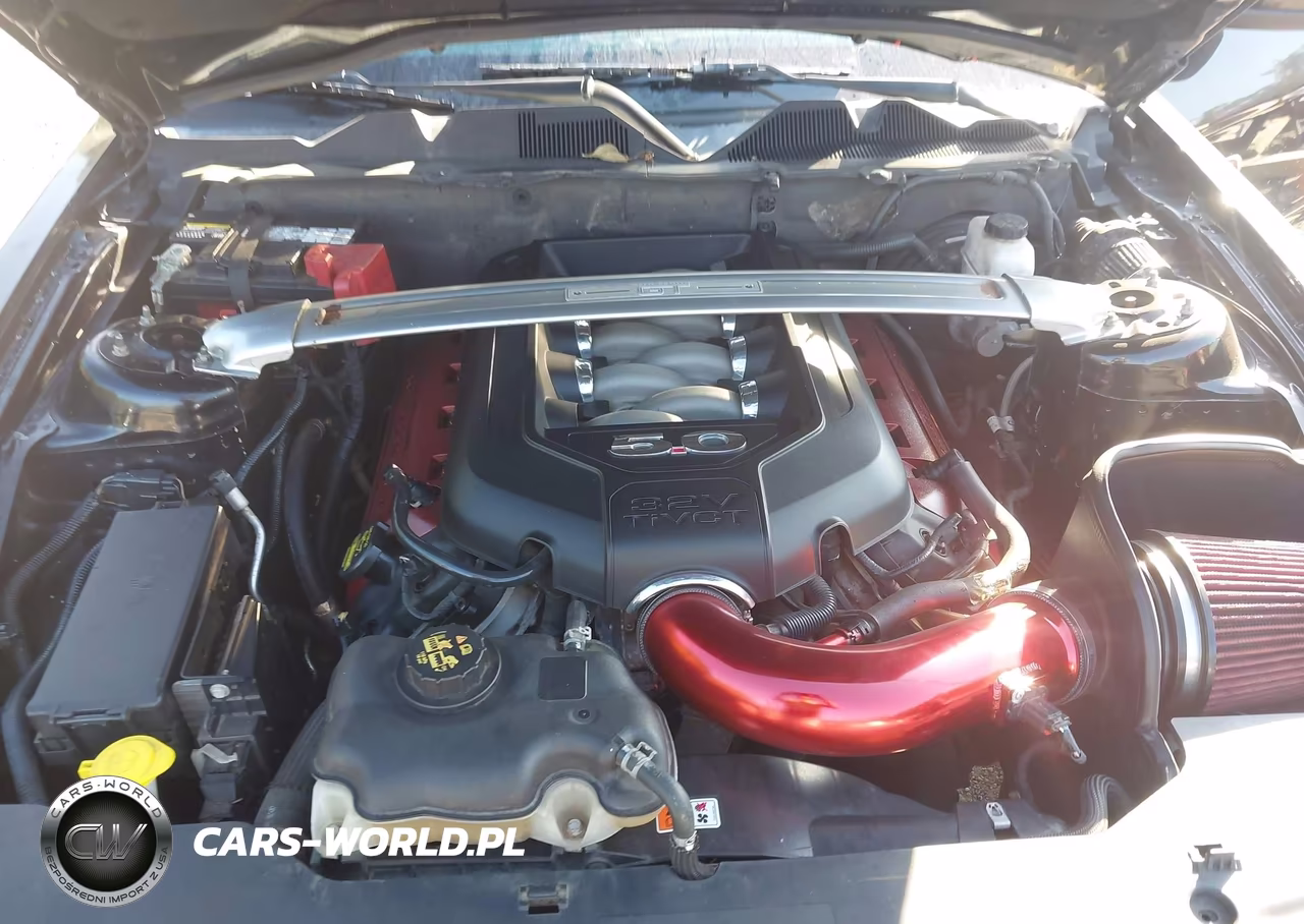 2011 Ford Mustang Gt Premium VIN:1ZVBP8FF3B5101664 - 10