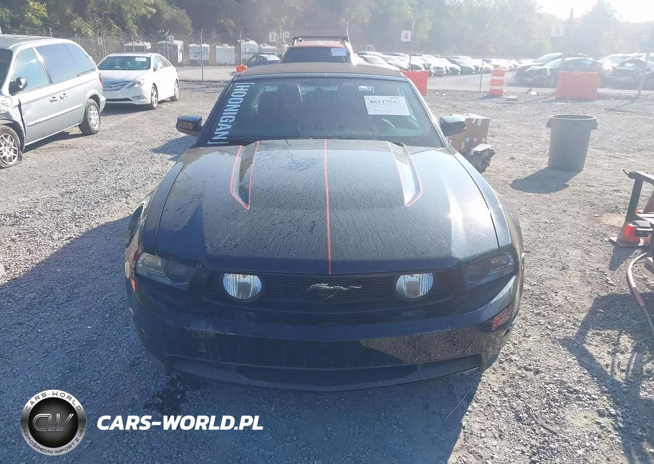 2011 Ford Mustang Gt Premium VIN:1ZVBP8FF3B5101664 - 12