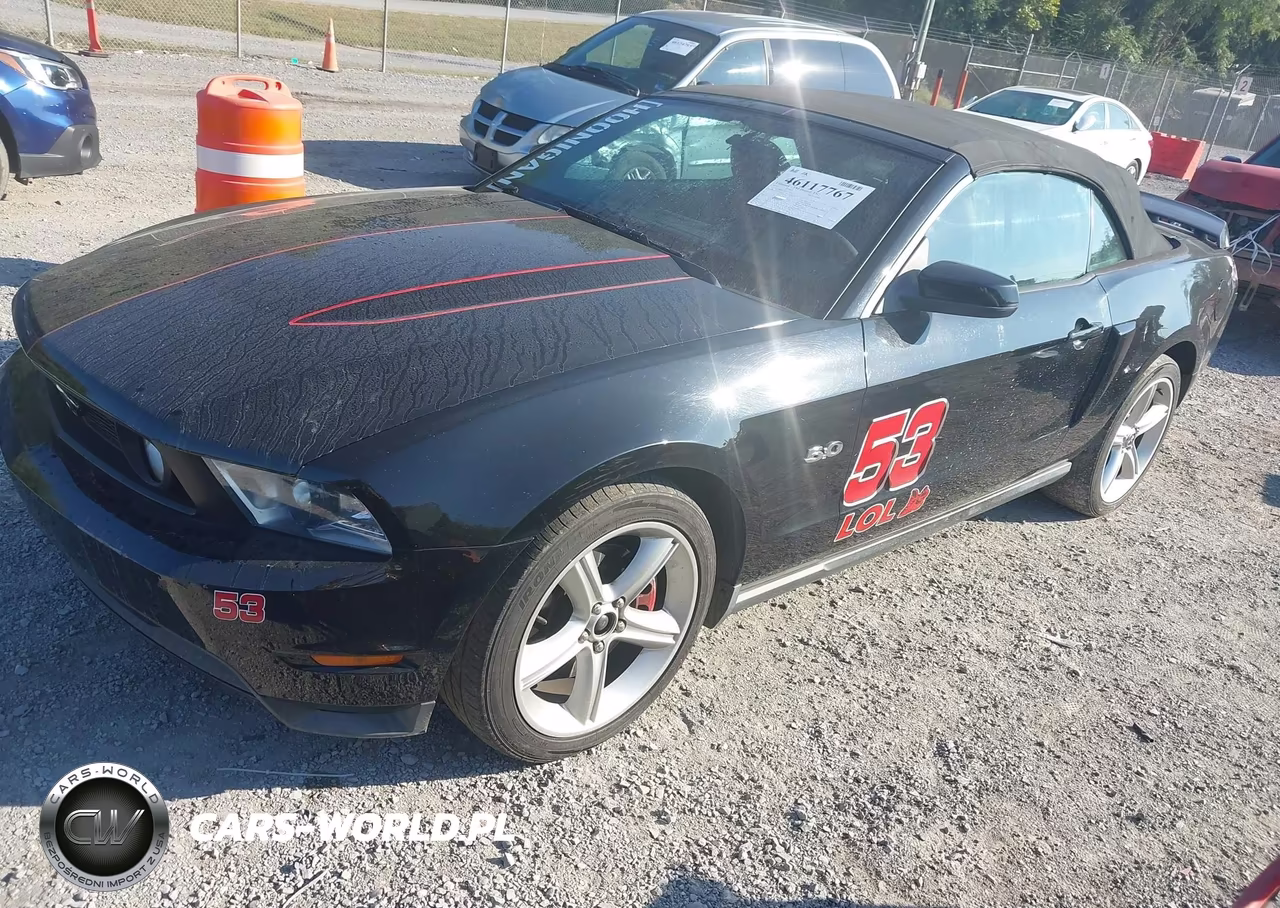 2011 Ford Mustang Gt Premium VIN:1ZVBP8FF3B5101664 - 2