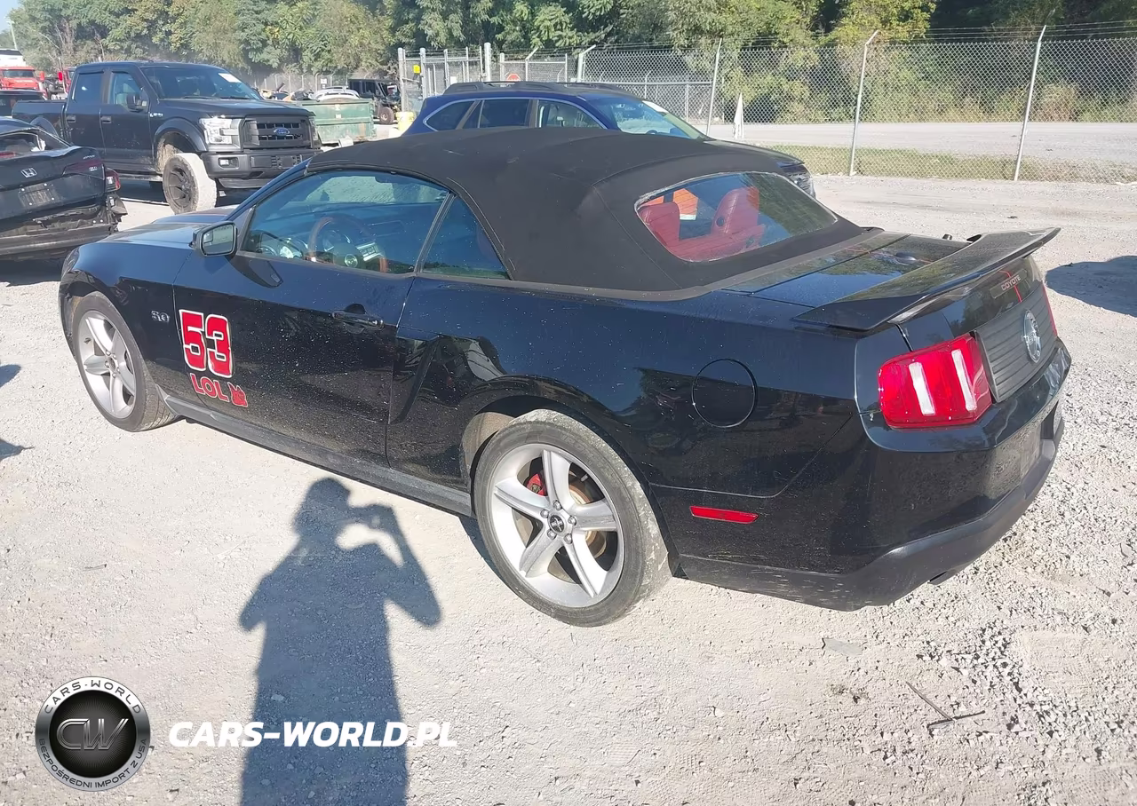 2011 Ford Mustang Gt Premium VIN:1ZVBP8FF3B5101664 - 3