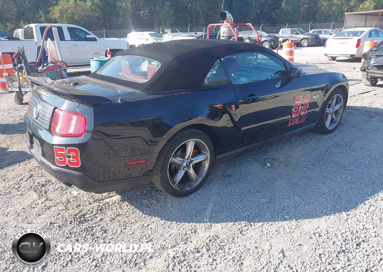 2011 Ford Mustang Gt Premium VIN:1ZVBP8FF3B5101664 - 4
